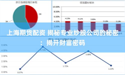 上海期货配资 揭秘专业炒股公司的秘密：揭开财富密码