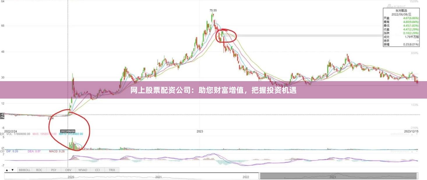 网上股票配资公司：助您财富增值，把握投资机遇