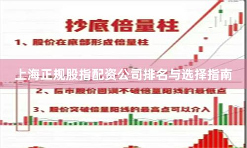 上海正规股指配资公司排名与选择指南